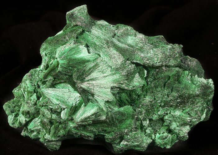 Silky Fibrous Malachite Crystal Cluster - Congo #45334